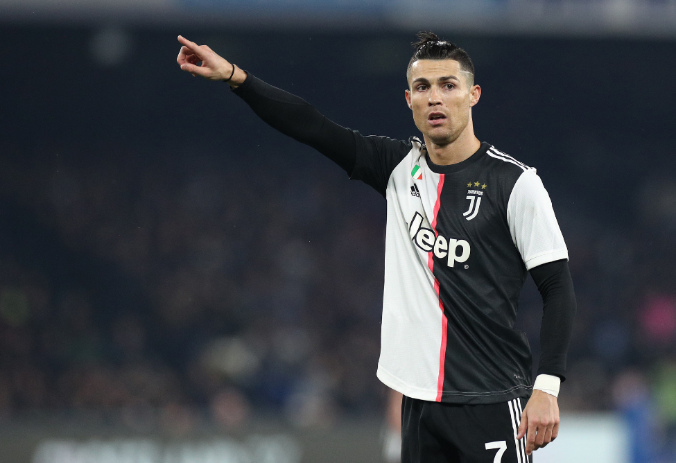 拥有螳螂 拥有螳螂