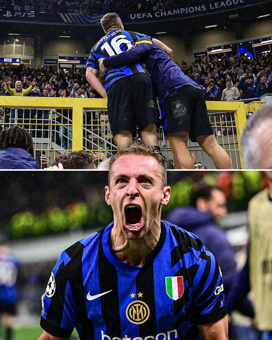 项可复制指 项可复制指